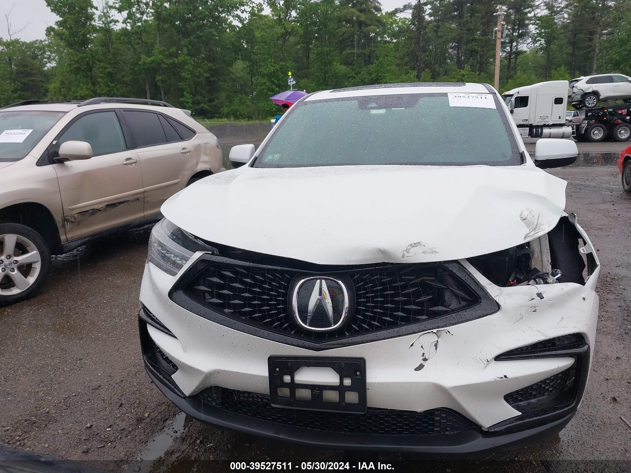 Photo 11 VIN: 5J8TC2H63LL809456 - ACURA RDX 