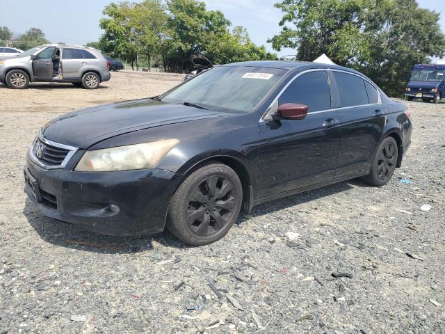 Photo 0 VIN: 5KBCP36839B002820 - HONDA ACCORD EXL 