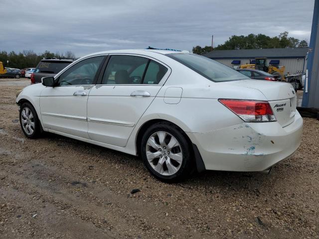 Photo 1 VIN: 5KBCP36849B001529 - HONDA ACCORD 