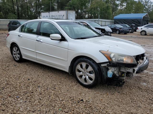 Photo 3 VIN: 5KBCP36849B001529 - HONDA ACCORD 