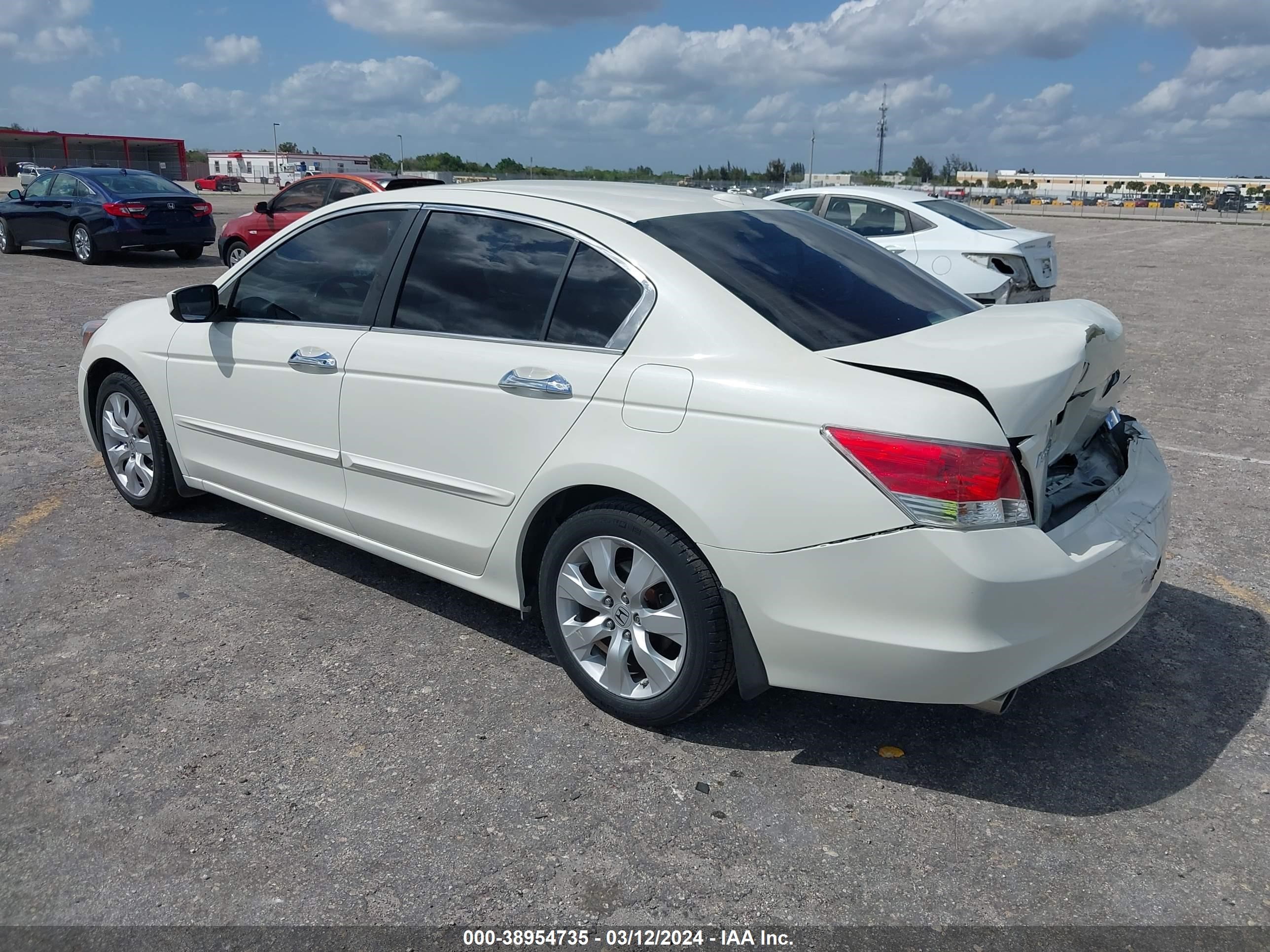 Photo 2 VIN: 5KBCP36879B001539 - HONDA ACCORD 