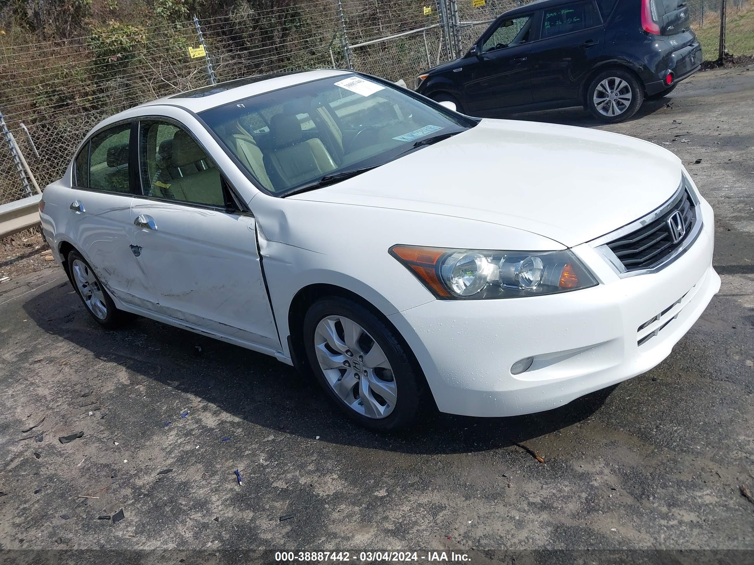 Photo 0 VIN: 5KBCP36899B002191 - HONDA ACCORD 