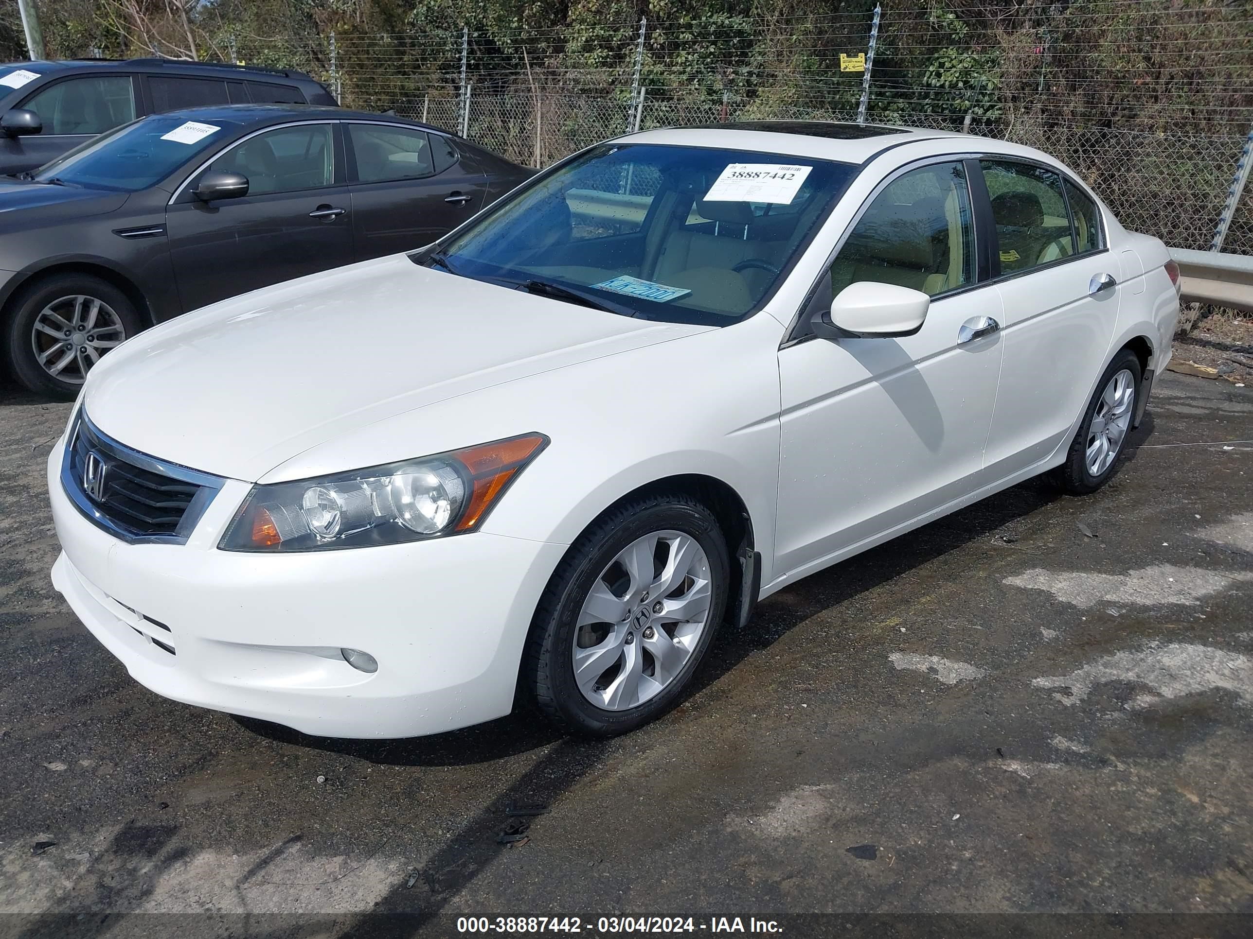 Photo 1 VIN: 5KBCP36899B002191 - HONDA ACCORD 