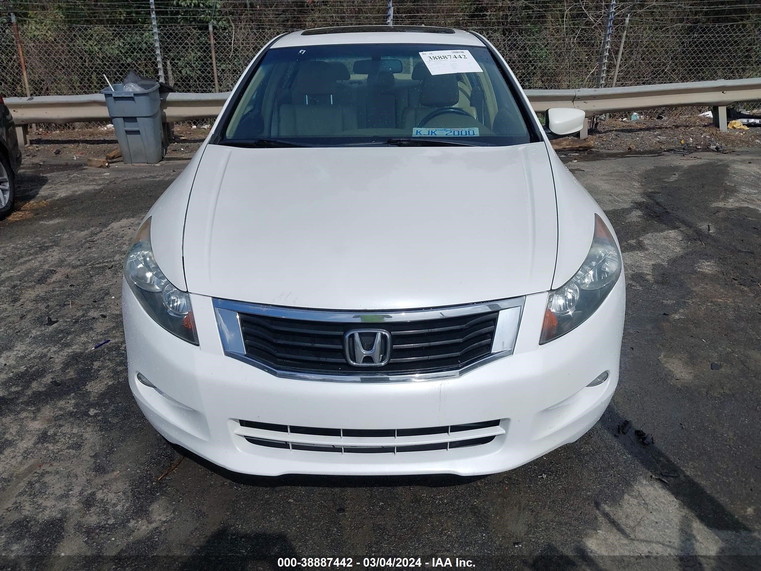 Photo 10 VIN: 5KBCP36899B002191 - HONDA ACCORD 