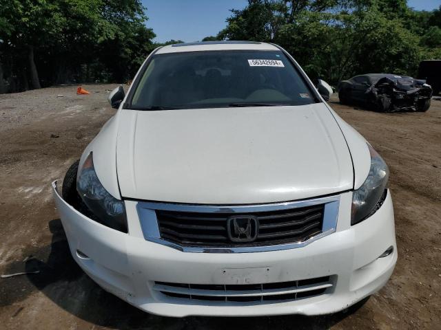 Photo 4 VIN: 5KBCP3F71AB012953 - HONDA ACCORD 