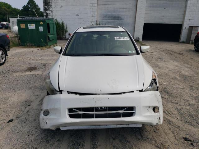 Photo 4 VIN: 5KBCP3F71AB014136 - HONDA ACCORD EX 