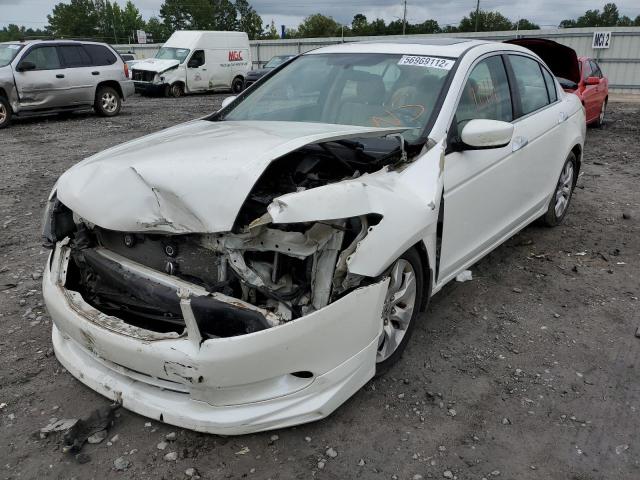 Photo 1 VIN: 5KBCP3F74AB010730 - HONDA ACCORD EX 