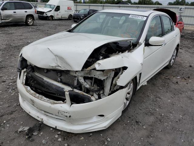 Photo 8 VIN: 5KBCP3F74AB010730 - HONDA ACCORD EX 