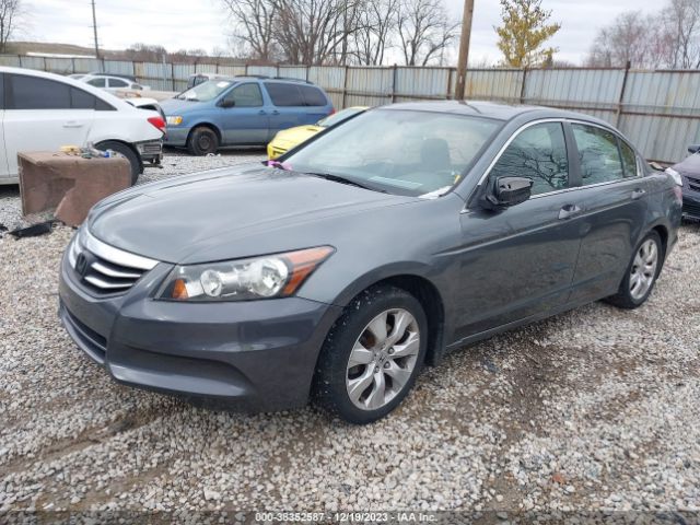 Photo 1 VIN: 5KBCP3F75AB008226 - HONDA ACCORD 