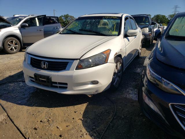 Photo 1 VIN: 5KBCP3F78AB008270 - HONDA ACCORD EX 