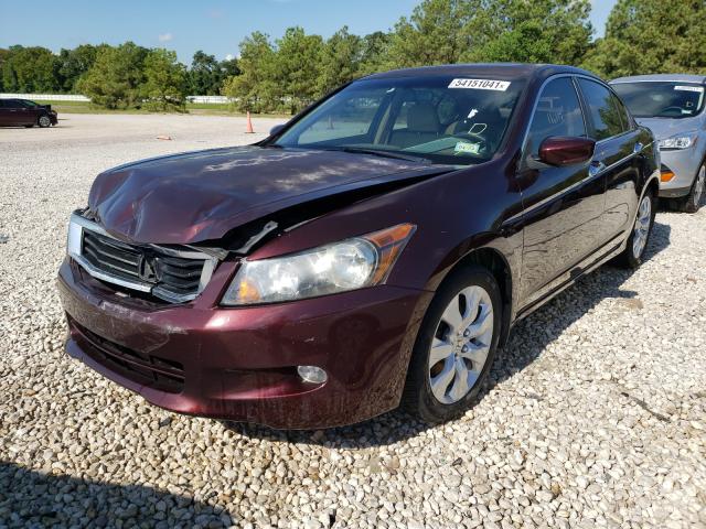 Photo 1 VIN: 5KBCP3F79AB010769 - HONDA ACCORD EX 