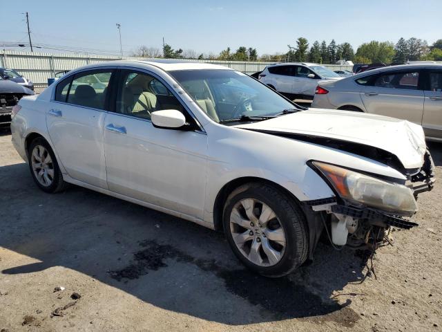 Photo 3 VIN: 5KBCP3F80AB001614 - HONDA ACCORD 