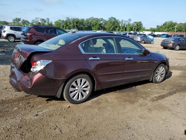 Photo 2 VIN: 5KBCP3F80AB006912 - HONDA ACCORD 