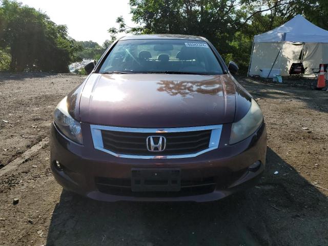 Photo 4 VIN: 5KBCP3F80AB006912 - HONDA ACCORD 