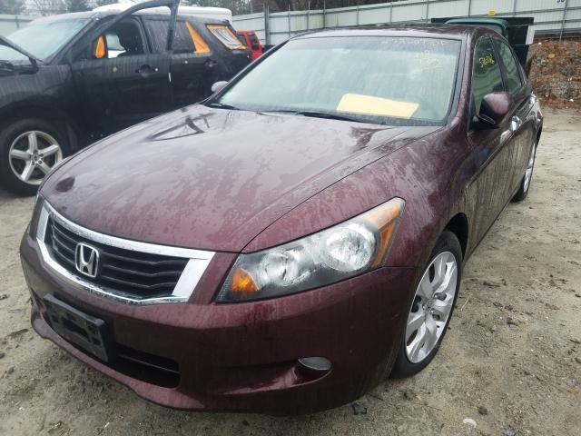 Photo 1 VIN: 5KBCP3F80AB011060 - HONDA ACCORD EXL 