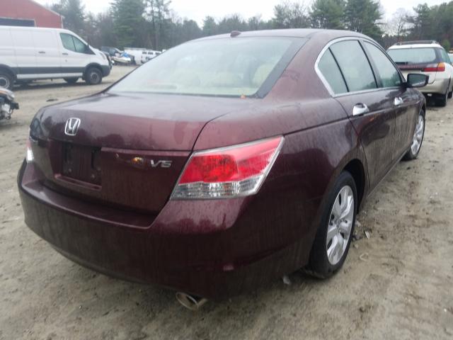 Photo 3 VIN: 5KBCP3F80AB011060 - HONDA ACCORD EXL 