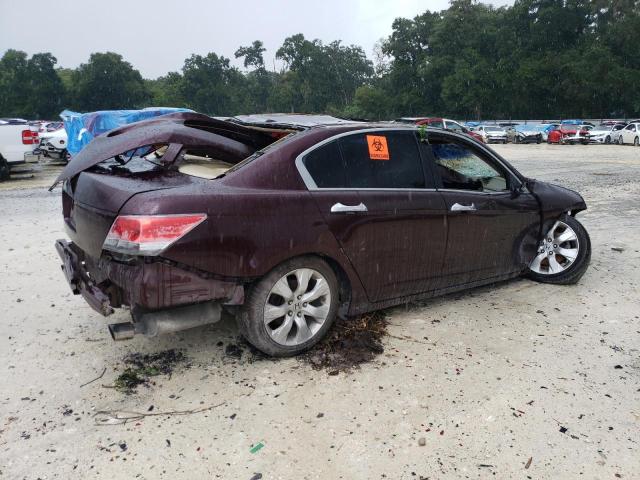 Photo 2 VIN: 5KBCP3F80AB012306 - HONDA ACCORD EXL 