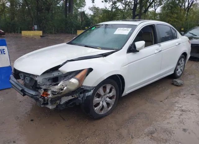 Photo 1 VIN: 5KBCP3F80AB014749 - HONDA ACCORD SDN 