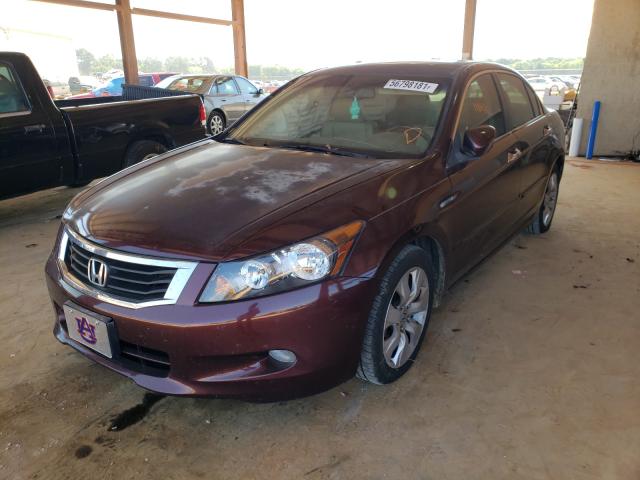 Photo 1 VIN: 5KBCP3F80AB015187 - HONDA ACCORD EXL 