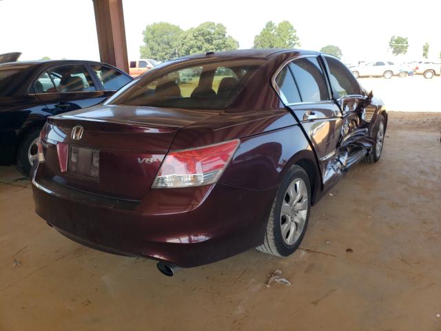 Photo 3 VIN: 5KBCP3F80AB015187 - HONDA ACCORD EXL 