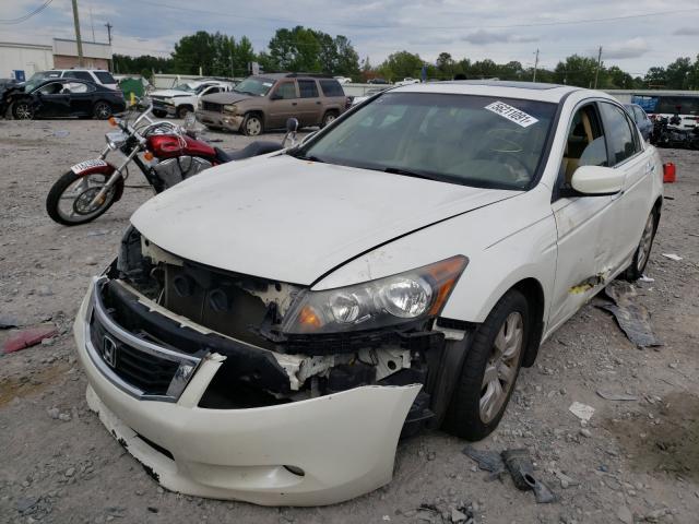 Photo 1 VIN: 5KBCP3F80AB016775 - HONDA ACCORD 