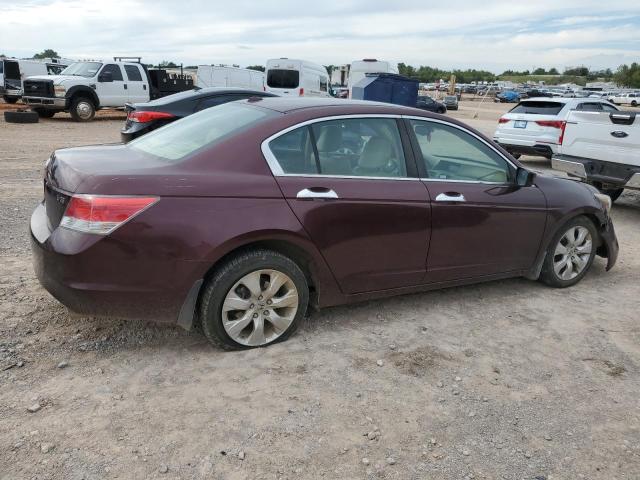 Photo 2 VIN: 5KBCP3F80AB019014 - HONDA ACCORD 