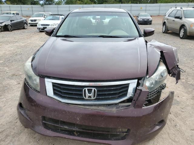 Photo 4 VIN: 5KBCP3F80AB019014 - HONDA ACCORD 