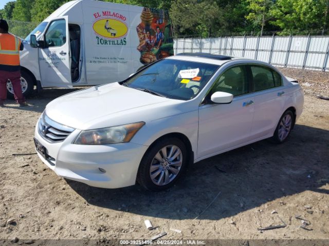 Photo 1 VIN: 5KBCP3F80BB001565 - HONDA ACCORD 