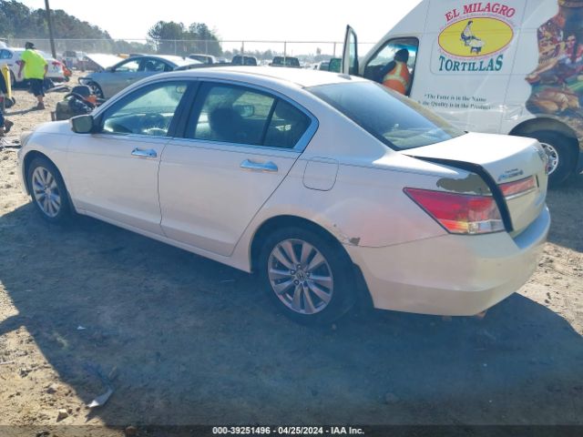 Photo 2 VIN: 5KBCP3F80BB001565 - HONDA ACCORD 