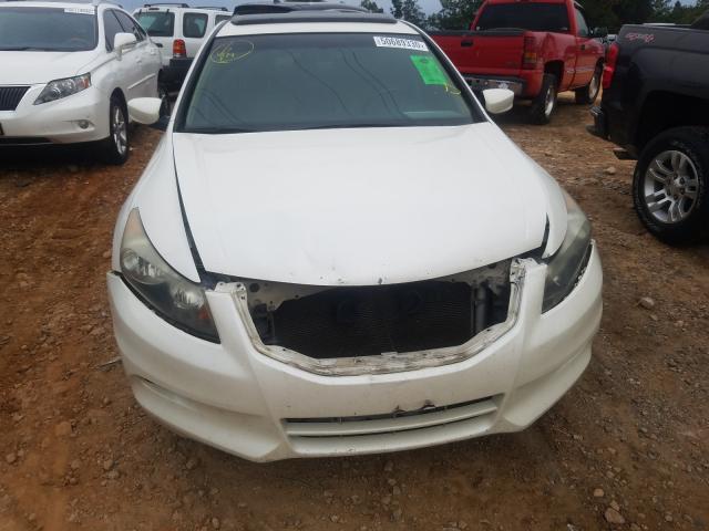 Photo 8 VIN: 5KBCP3F80BB004644 - HONDA ACCORD EXL 