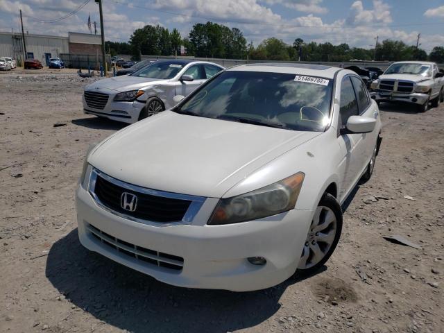 Photo 1 VIN: 5KBCP3F81AB001153 - HONDA ACCORD EXL 