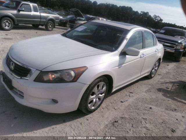 Photo 1 VIN: 5KBCP3F81AB002142 - HONDA ACCORD SDN 