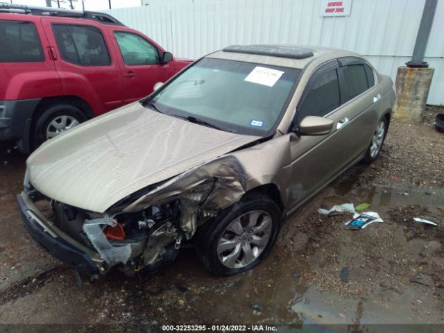 Photo 1 VIN: 5KBCP3F81AB002495 - HONDA ACCORD SDN 