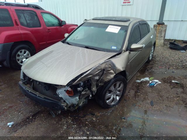 Photo 5 VIN: 5KBCP3F81AB002495 - HONDA ACCORD SDN 