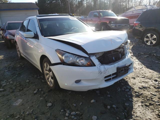 Photo 0 VIN: 5KBCP3F81AB003226 - HONDA ACCORD EXL 