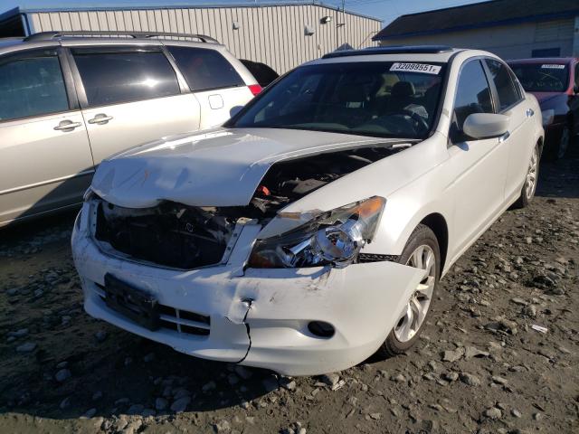 Photo 1 VIN: 5KBCP3F81AB003226 - HONDA ACCORD EXL 