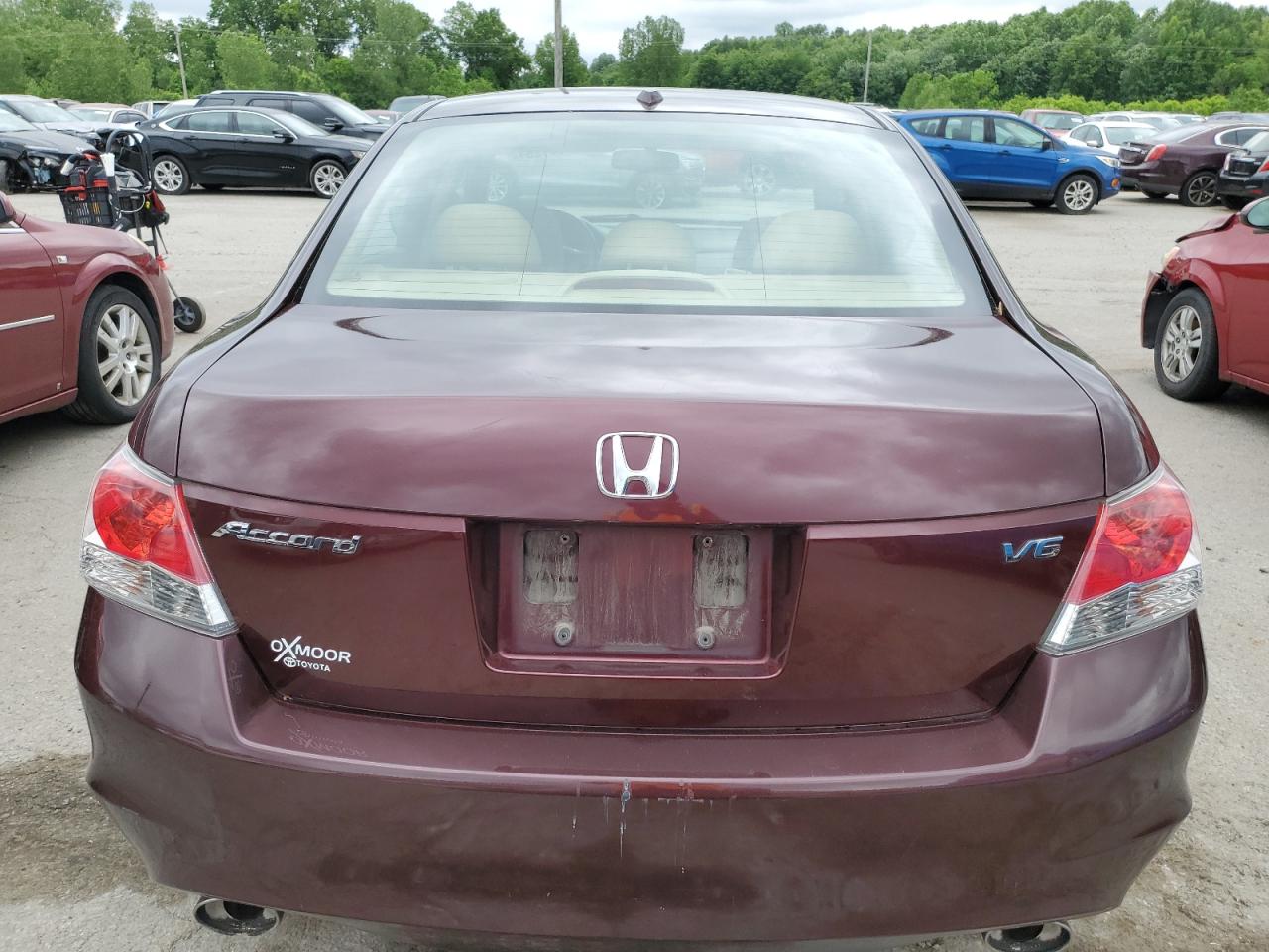 Photo 5 VIN: 5KBCP3F81AB007437 - HONDA ACCORD 