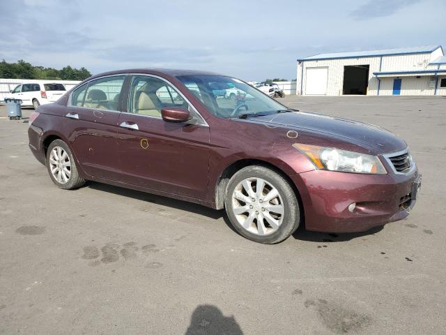 Photo 3 VIN: 5KBCP3F81AB011830 - HONDA ACCORD 