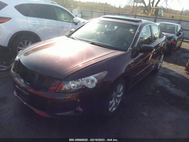 Photo 1 VIN: 5KBCP3F81AB011925 - HONDA ACCORD 