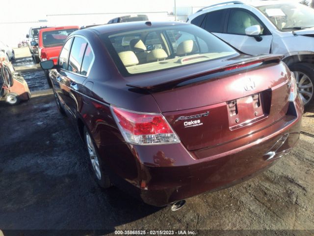 Photo 2 VIN: 5KBCP3F81AB011925 - HONDA ACCORD 