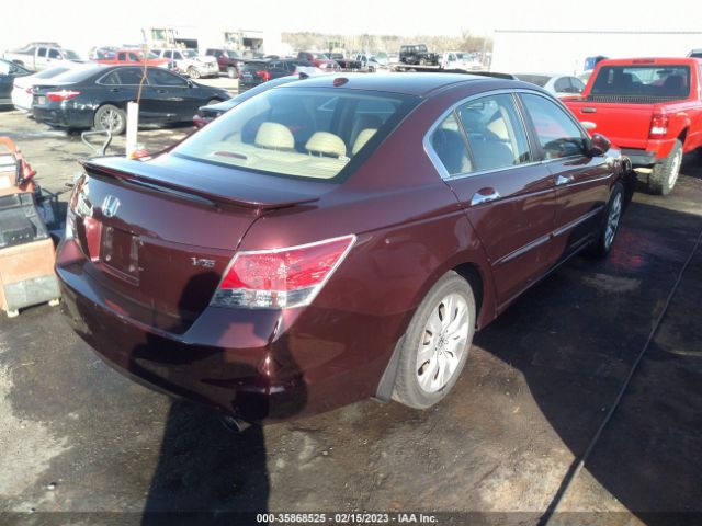 Photo 3 VIN: 5KBCP3F81AB011925 - HONDA ACCORD 