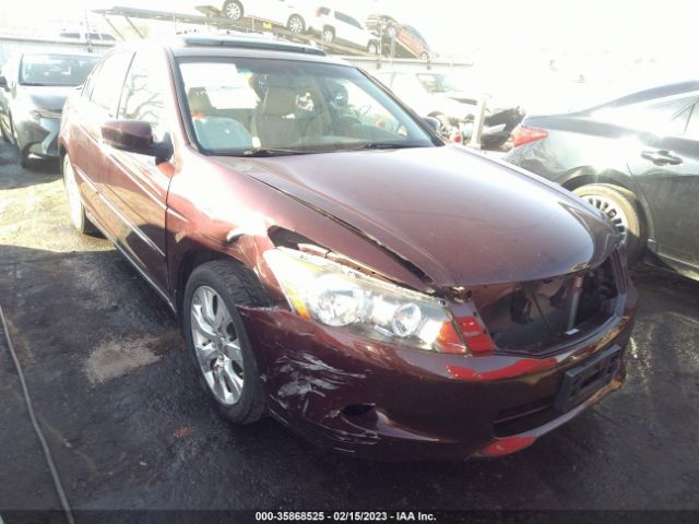 Photo 5 VIN: 5KBCP3F81AB011925 - HONDA ACCORD 