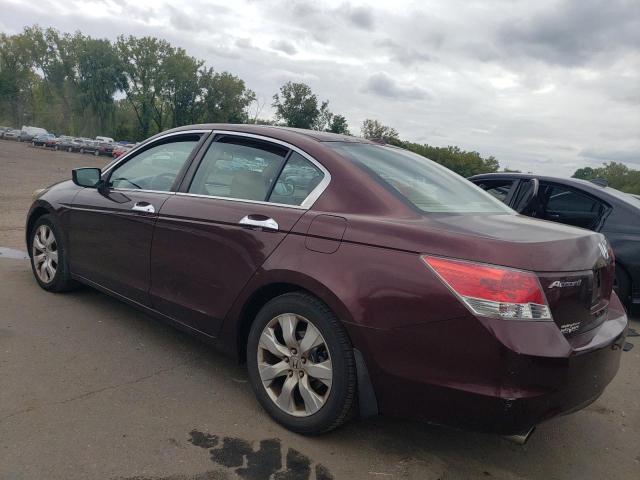 Photo 1 VIN: 5KBCP3F81AB012315 - HONDA ACCORD EXL 