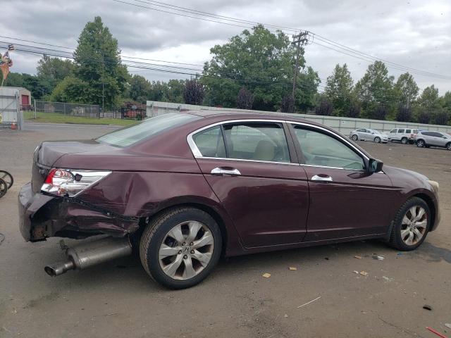 Photo 2 VIN: 5KBCP3F81AB012315 - HONDA ACCORD EXL 