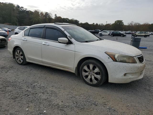 Photo 3 VIN: 5KBCP3F81AB014338 - HONDA ACCORD EXL 