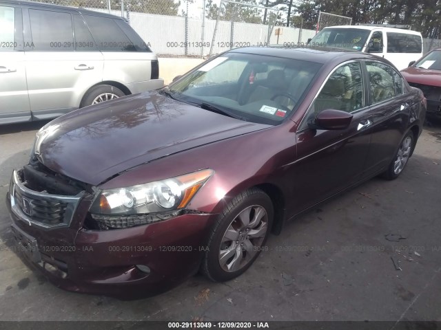 Photo 1 VIN: 5KBCP3F81AB016266 - HONDA ACCORD SDN 