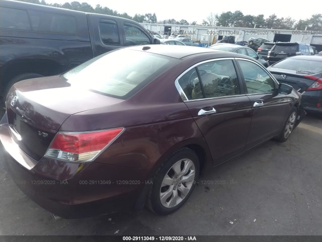 Photo 3 VIN: 5KBCP3F81AB016266 - HONDA ACCORD SDN 