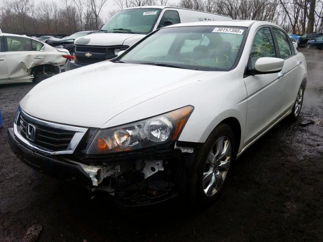 Photo 1 VIN: 5KBCP3F81AB016784 - HONDA ACCORD EXL 