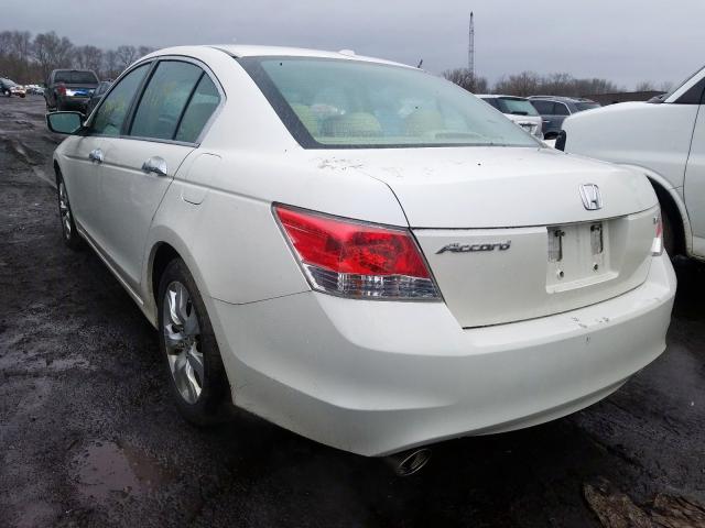 Photo 2 VIN: 5KBCP3F81AB016784 - HONDA ACCORD EXL 