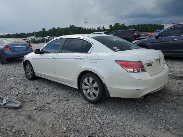 Photo 1 VIN: 5KBCP3F81AB017207 - HONDA ACCORD EXL 